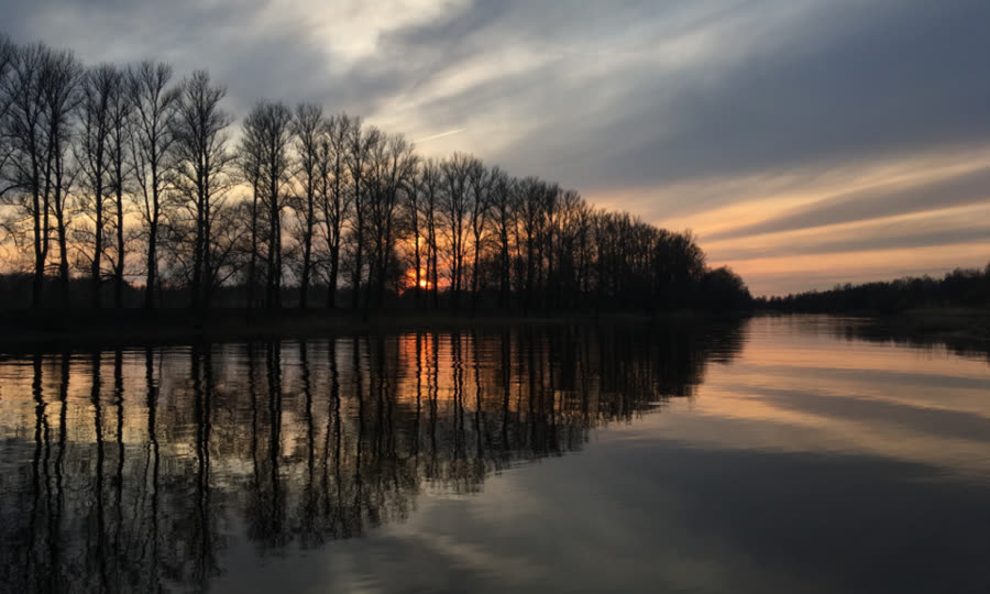 Calm lake at dusk with trees reflected